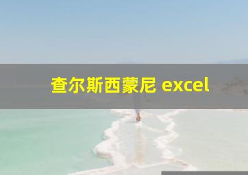 查尔斯西蒙尼 excel